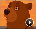 Top 5 N°134 - Les transformations en ours