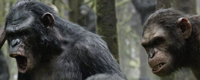 Cesar Le Singe Film Complet En Francais La Planète des singes l'affrontement : Caesar au coeur de la nouvelle
