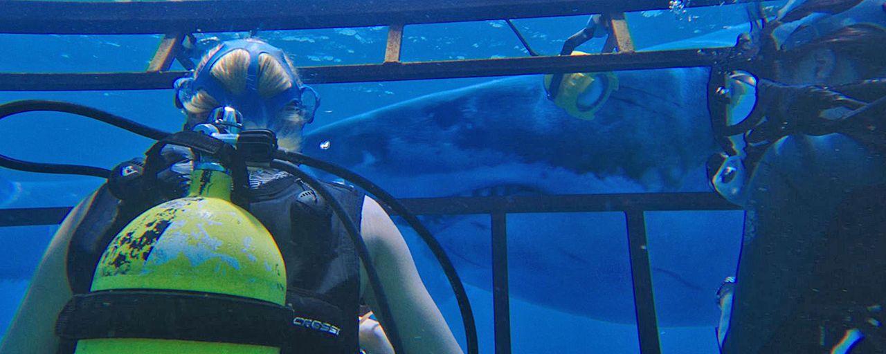 Bande-annonce 47 Meters Down : Claire Holt et Mandy Moore cernées par des grands requins blancs