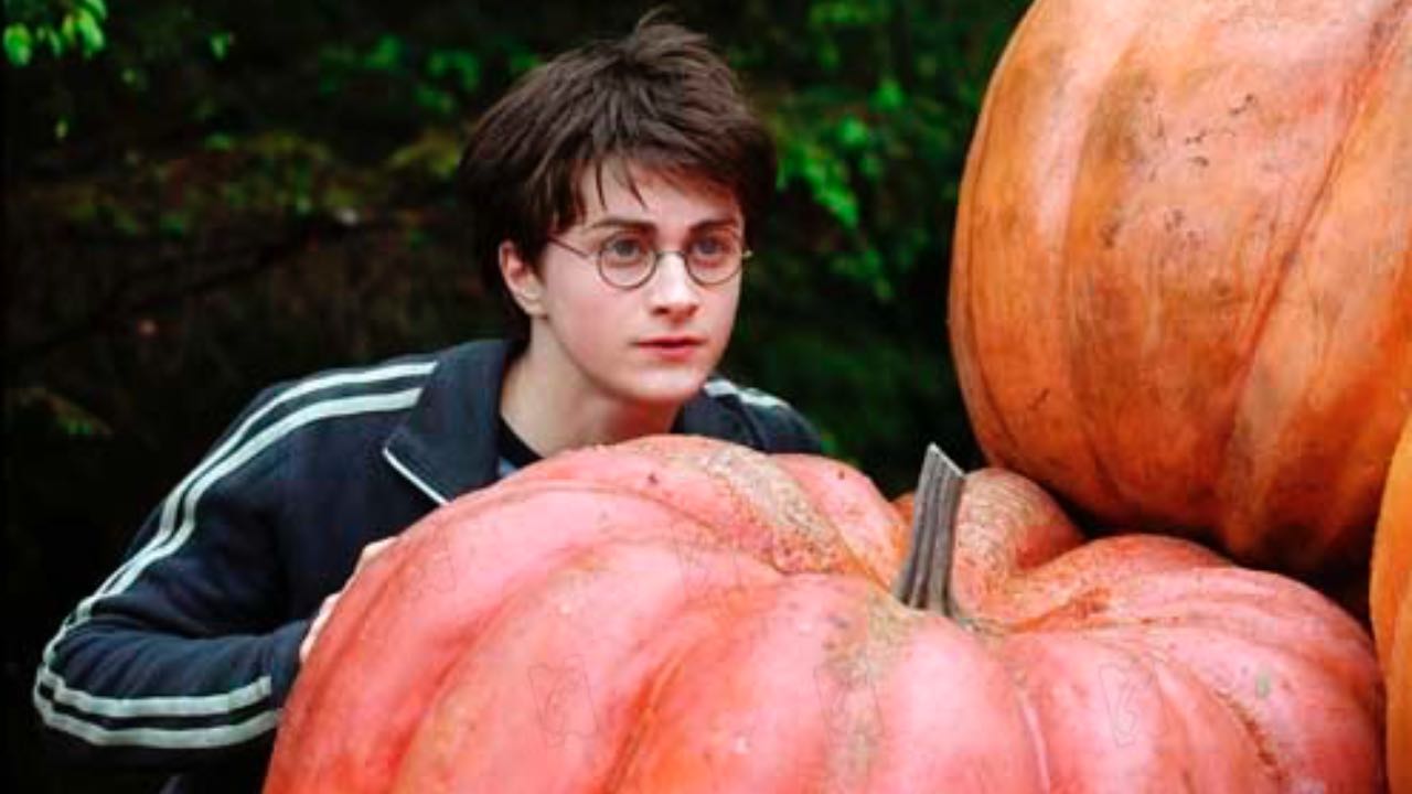 Harry Potter 3 sur TF1 : toutes les erreurs et faux raccords du Prisonnier d'Azkaban !