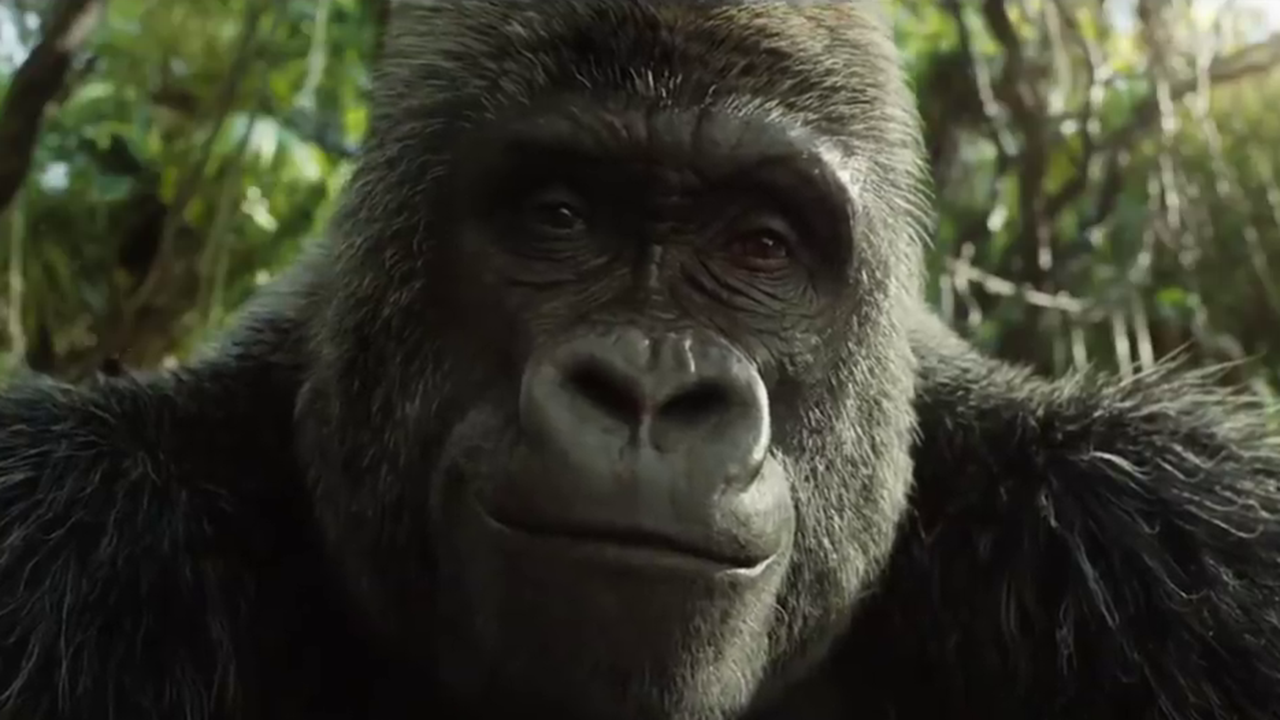 Bande-annonce Le Seul et unique Ivan sur Disney+ : Bryan Cranston se lie d'amitié avec un gorille