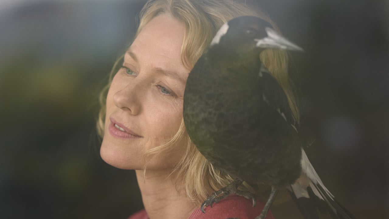 Penguin Bloom sur Netflix : l'inspirante histoire vraie du film avec Naomi Watts