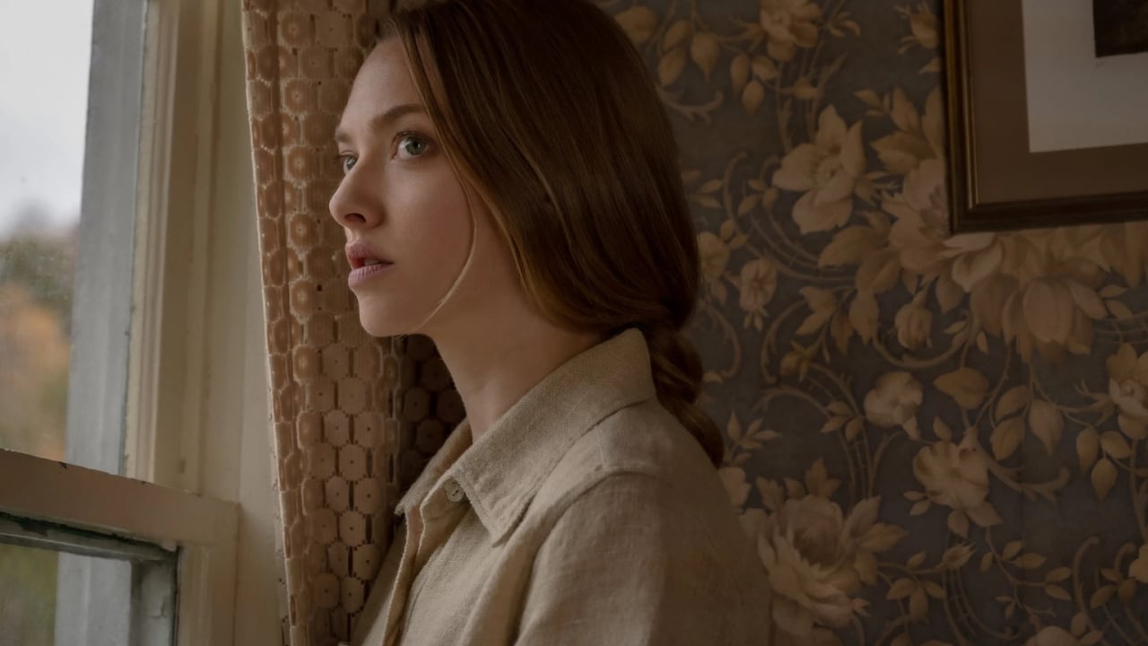 Dans les angles morts sur Netflix : c'est quoi ce thriller horrifique avec Amanda Seyfried ?