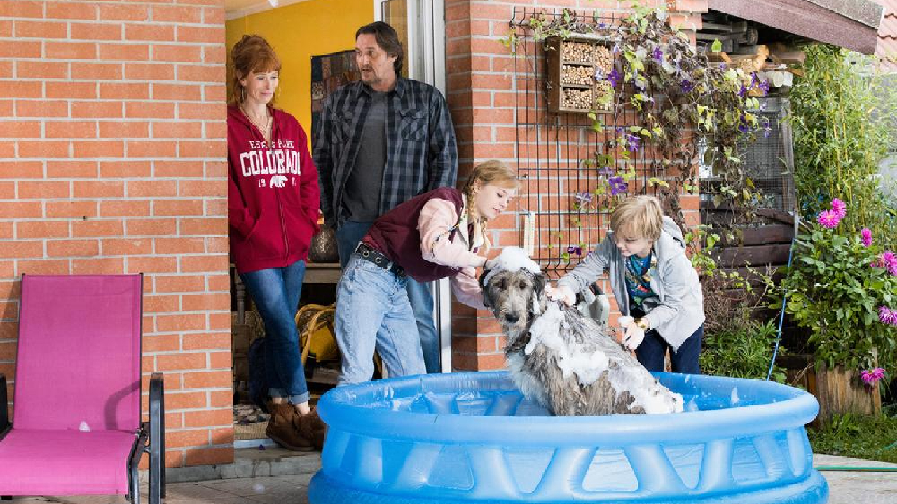 HPI sur TF1 : le chien de l'épisode 5 bientôt dans un grand film hollywoodien