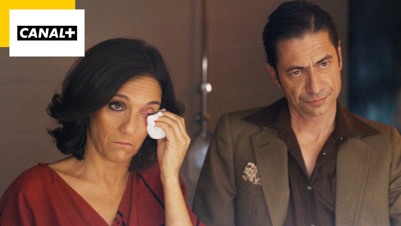 La Meilleure Version De Moi-même : Blanche Gardin Jnews - Toute l'infos - Désordres sur CANAL+ : comment Florence Foresti