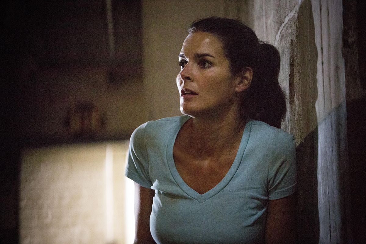 Films Et Séries Tv Avec Angie Harmon Rizzoli & Isles : autopsie d'un meurtre : Photo Angie Harmon - 44 sur