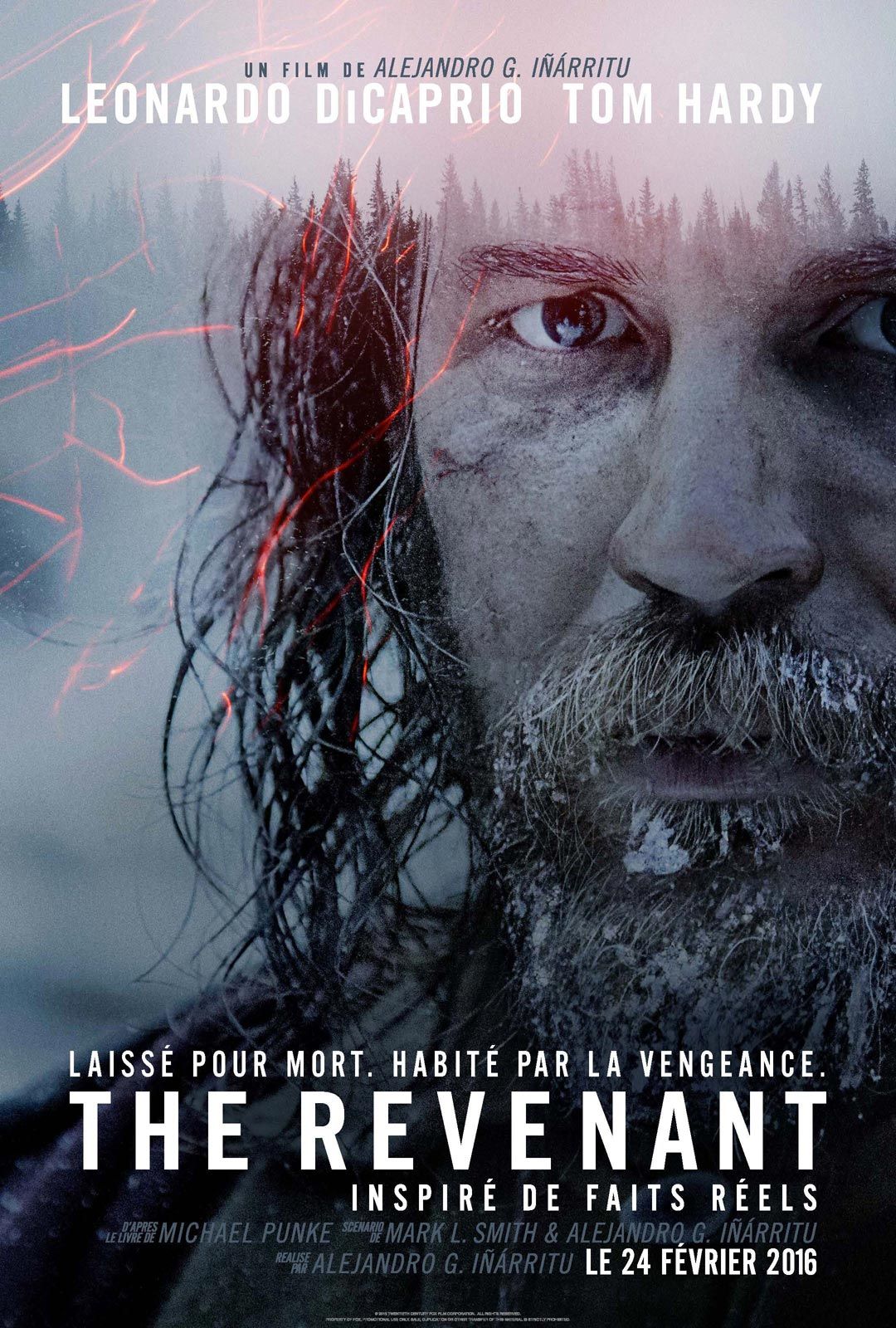 Affiche Du Film The Revenant Photo Sur Allocin