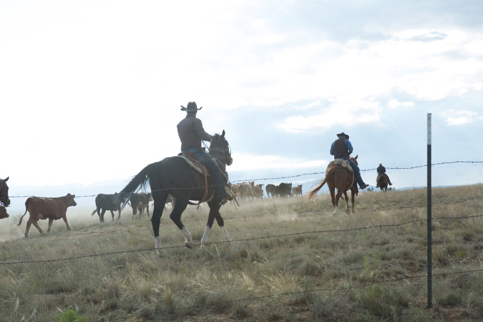 Comancheria Comancheria