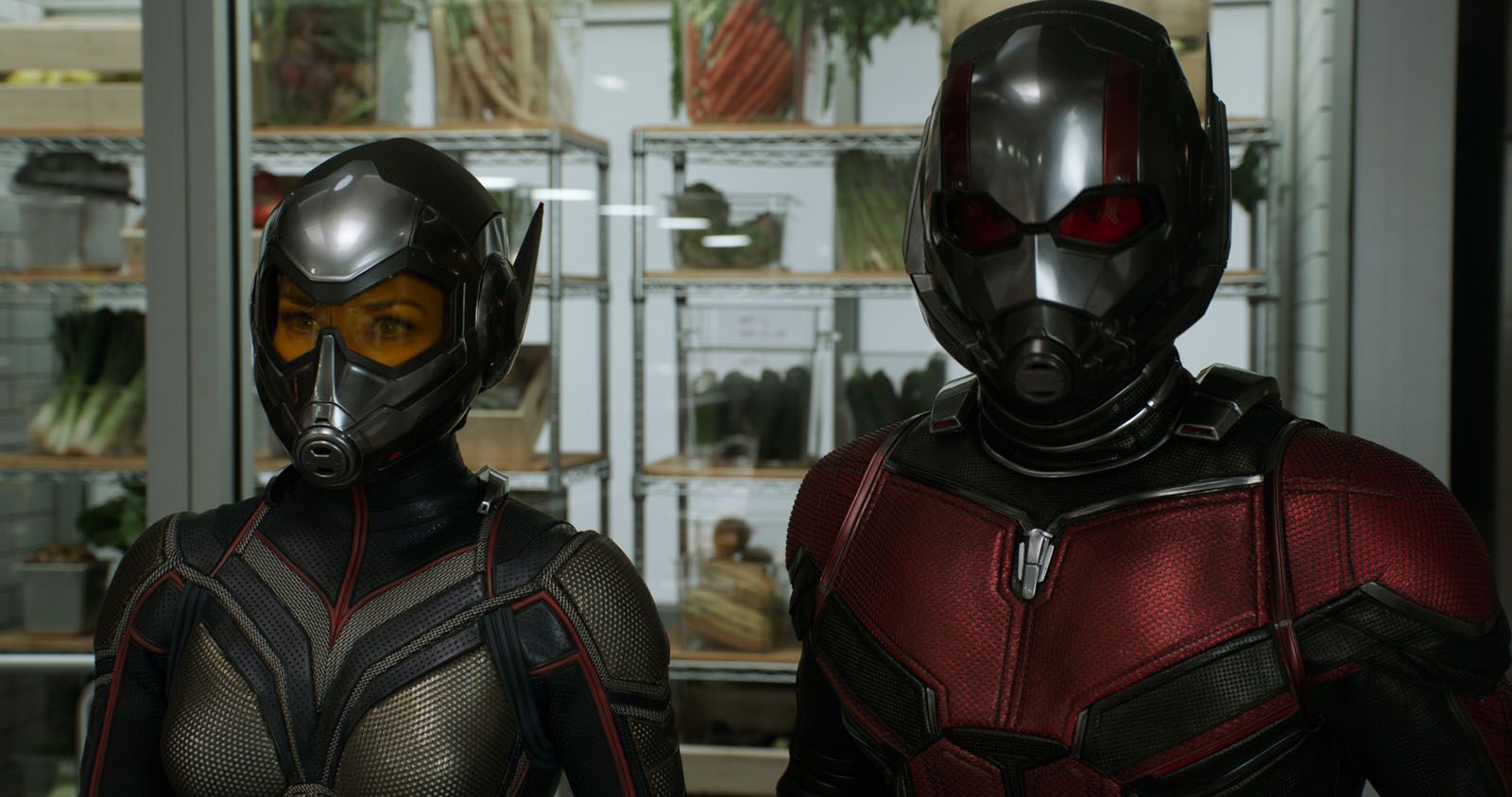 Ant-Man et la Guêpe Ant-Man et la Guêpe