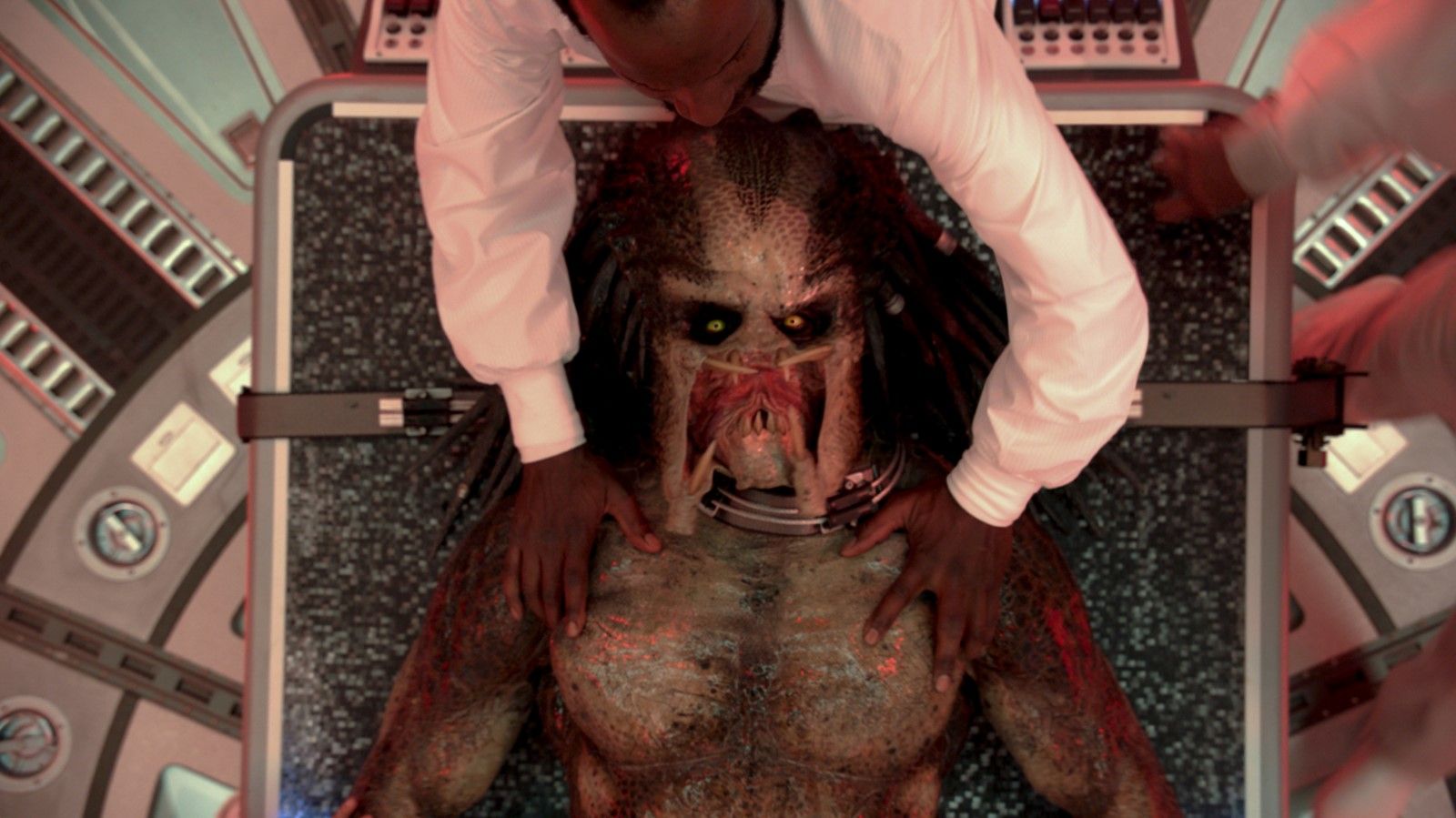 The Predator The Predator