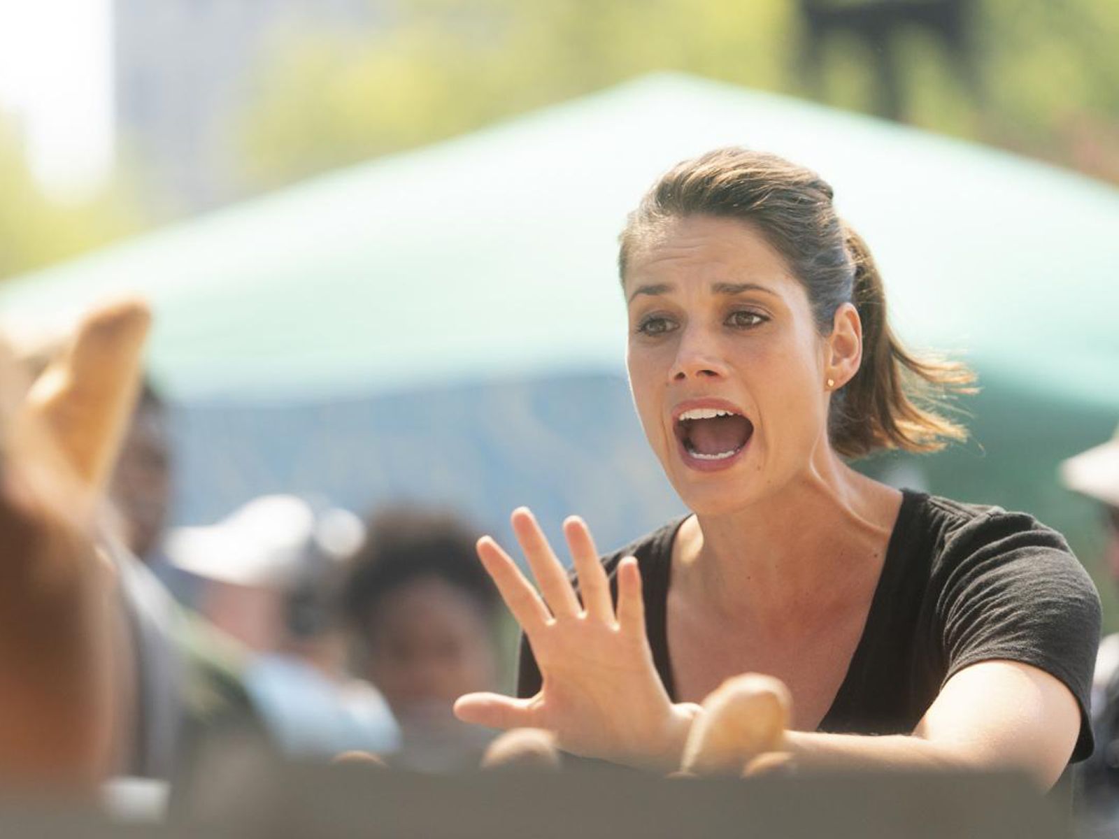 Films Et Séries Tv Avec Missy Peregrym F.B.I. : Photo Missy Peregrym - 138 sur 147 - AlloCiné
