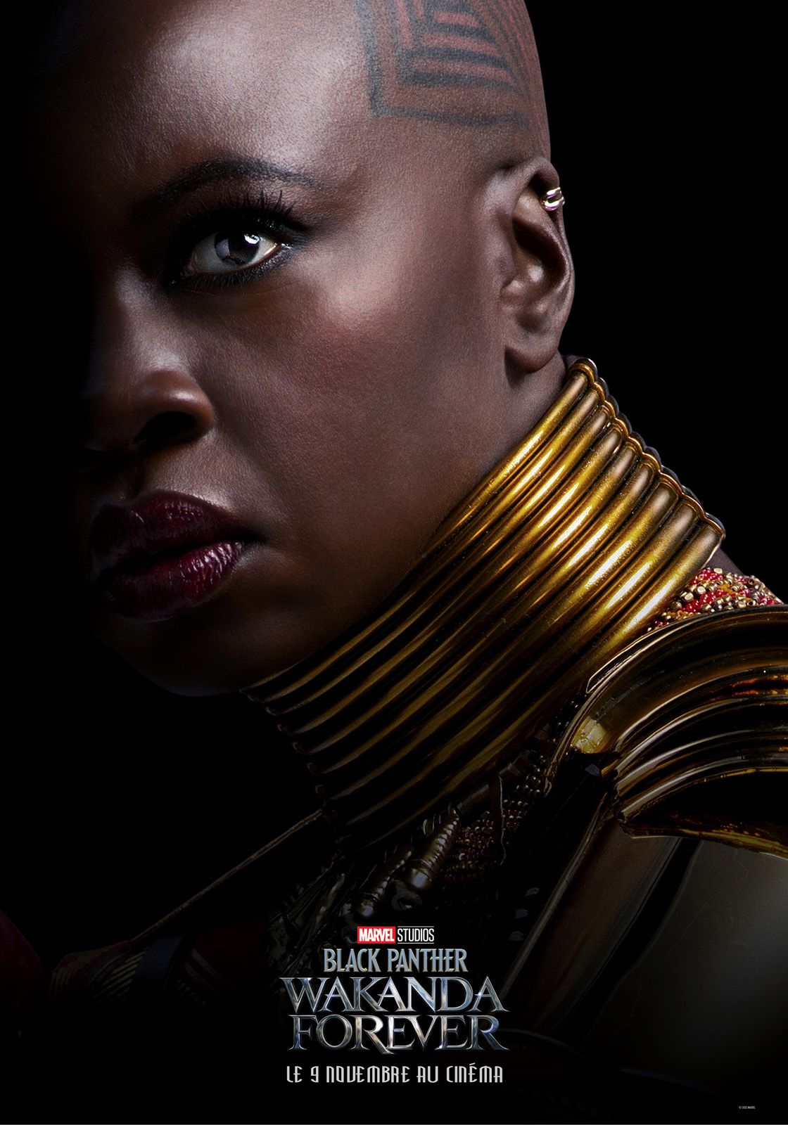 Affiche Du Film Black Panther Wakanda Forever Photo Sur Allocin