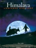 Photo : Himalaya, l'enfance d'un chef Photo : Himalaya, l'enfance d'un chef