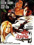 Photo : La Nuit de l'iguane