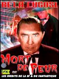 Photo : Mort de peur
