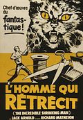 Photo : L'Homme qui rétrécit