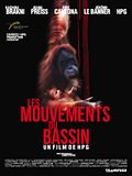Photo : Les Mouvements du bassin