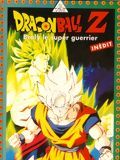 Photo : Dragon Ball Z : Broly, le super guerrier