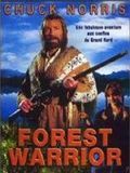 Photo : Forest Warrior - L'Esprit de la forêt