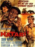 Photo : Hatari! Photo : Hatari!