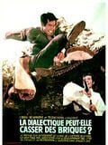 Photo : La dialectique peut-elle casser des briques?