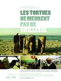 Photo : Les tortues ne meurent pas de vieillesse