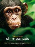 Photo : Chimpanzés Photo : Chimpanzés