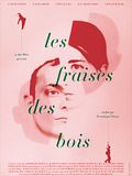 Photo : Les Fraises des bois