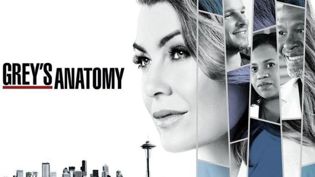 Grey's Anatomy, The Rookie... Toutes les séries d'ABC pour ...