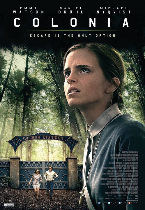 Afficher l'image d'origine