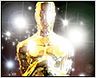 Oscars 2008 : les Coen, Marion et les autres...