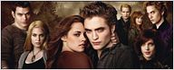 Box-office : "Twilight" tient le cap