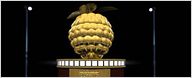 Razzie Awards 2011 : et les pires sont...