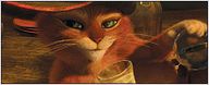 Coup de griffe aux 1ères séances !