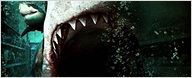 Bande-annonce : "Bait" et ses requins... de supermarché [VIDEO]