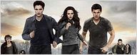 "Twilight" : vers un spin-off en long métrage ou en série ?