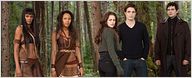 "Twilight 5" réalise le meilleur démarrage de l'année