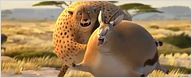 "Rollin' Wild" : quand les animaux de la jungle deviennent obèses ! [VIDEO]