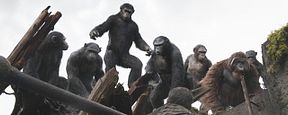 Sorties cinéma : La Planète des singes l'affrontement triomphe dans les premières séances Sorties cinéma : La Planète des singes l'affrontement triomphe dans les premières séances