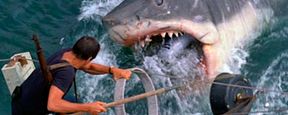 Les Dents de la mer sur Arte : la terrifiante histoire vraie à l'origine du film... Les Dents de la mer sur Arte : la terrifiante histoire vraie à l'origine du film...