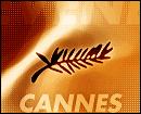 Cannes 2004 : c'est parti !