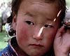 <strong>Le chien jaune de Mongolie</strong> Bande-annonce VO