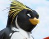<strong>Les Rois de la glisse</strong> Teaser VF
