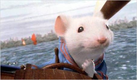 Stuart Little : photo