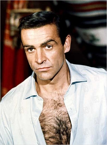 sean connery a la rencontre de forrester