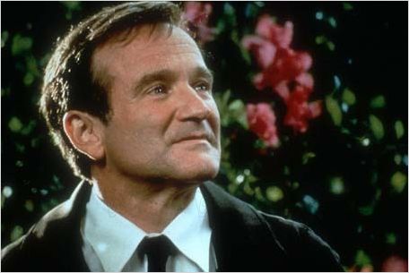Au-delà de nos rêves : photo Robin Williams, Vincent Ward