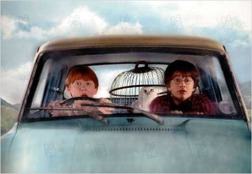 Harry Potter et la chambre des secrets : photo Chris Columbus, Daniel Radcliffe, Rupert Grint