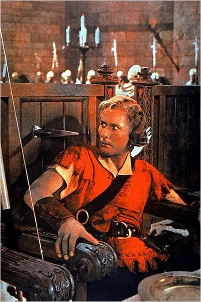 Les Aventures de Robin des Bois : photo Errol Flynn, Michael Curtiz