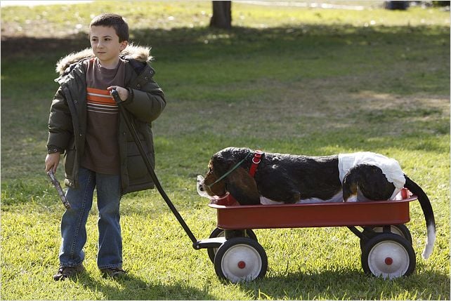 The Middle : Photo Atticus Shaffer