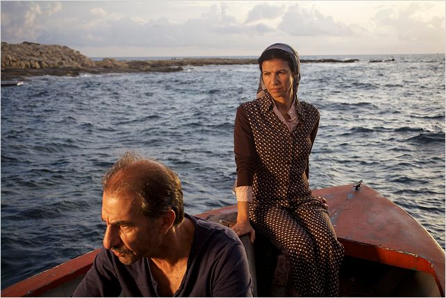 Le cochon de Gaza : Photo Sylvain Estibal